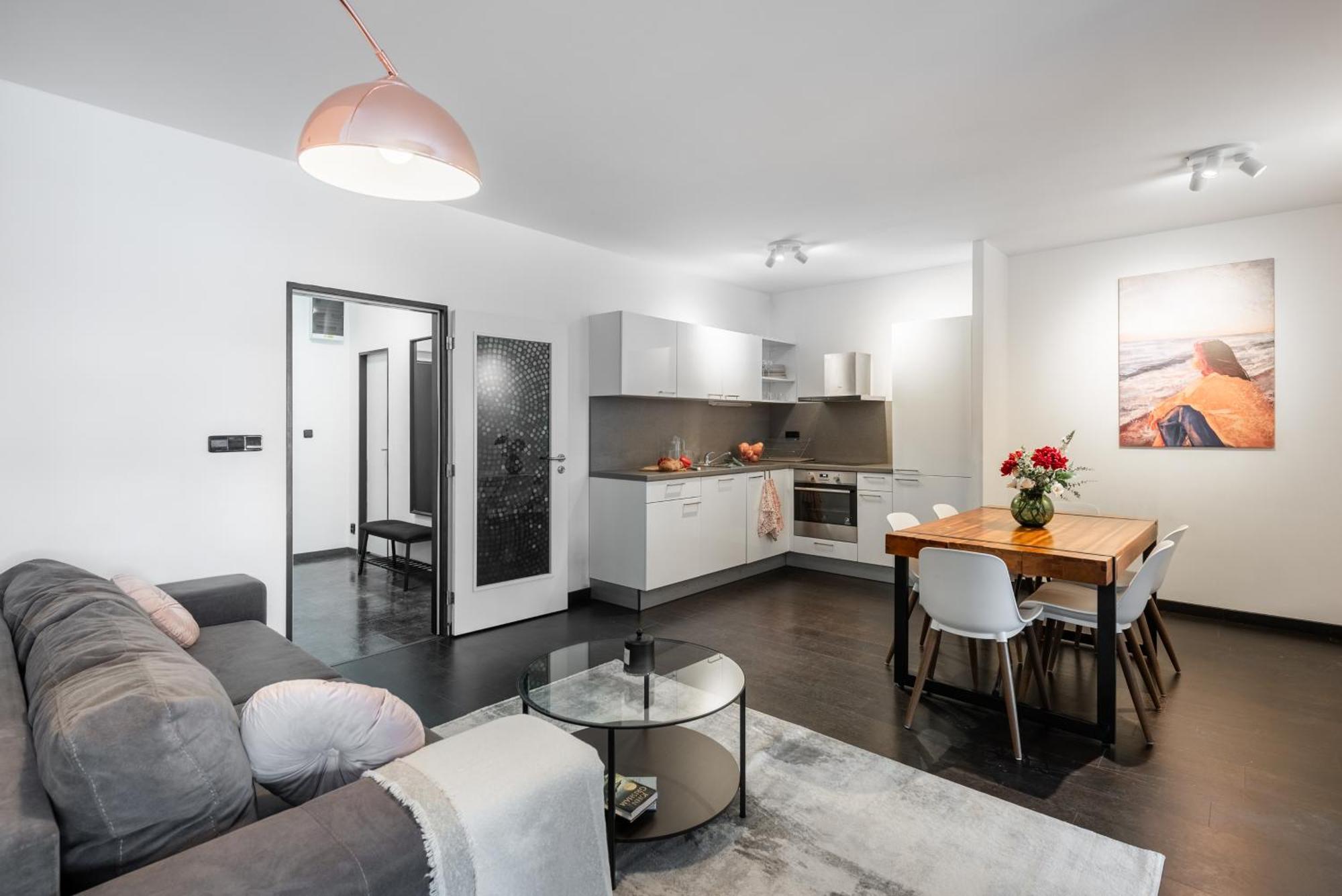 Spacious Apartments Near Karlin Square Praha Eksteriør bilde